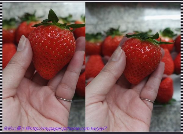 草莓-1.jpg