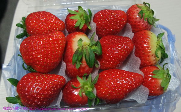 篸雞-草莓.jpg
